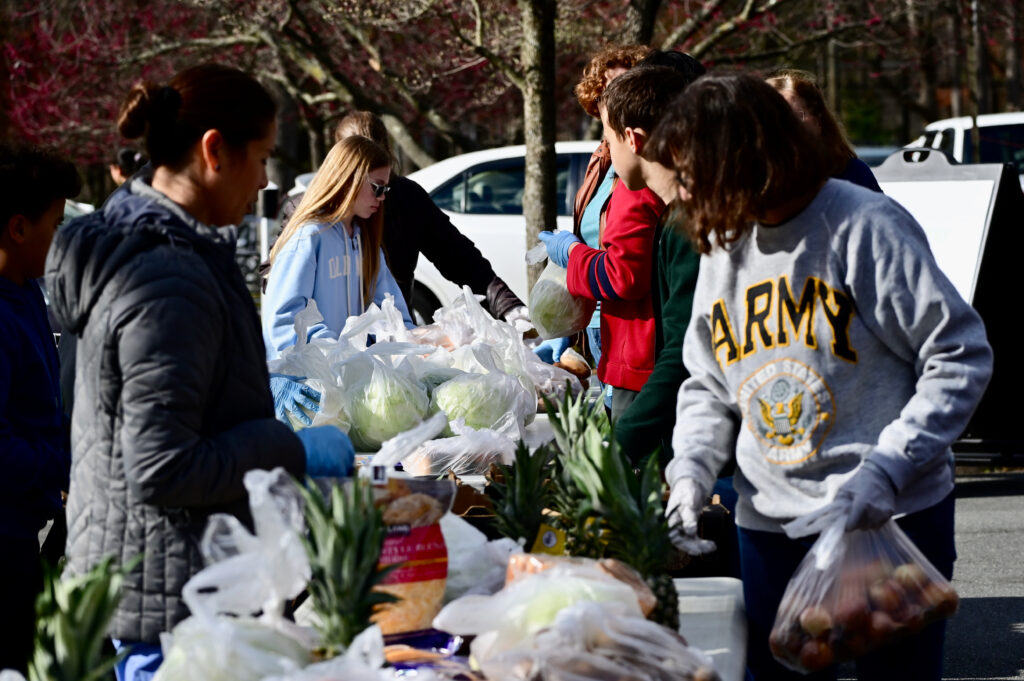 people sorting fresh food