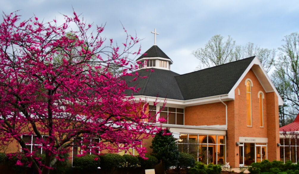 Redbud tree blooming outside of church