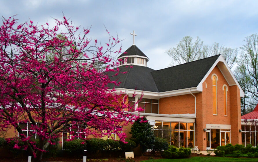 Redbud tree blooming outside of church