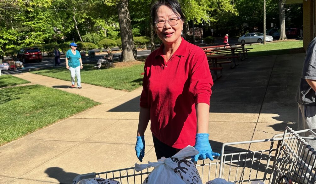 Woman with shopping cart of food