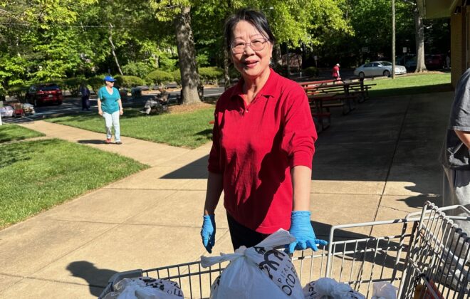 Woman with shopping cart of food