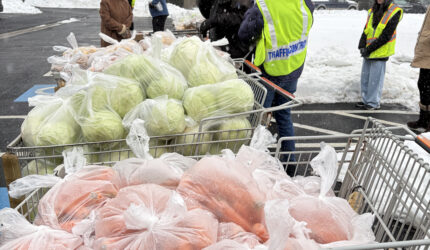 Shopping carts full of vegetables for families in need
