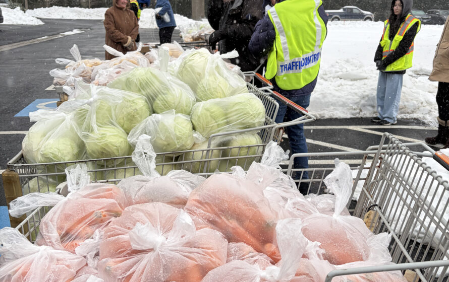 Shopping carts full of vegetables for families in need